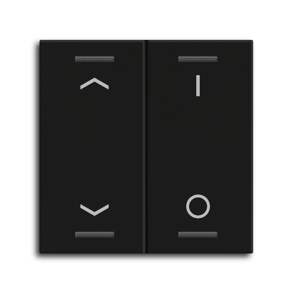 BE-TAL55W206.C1