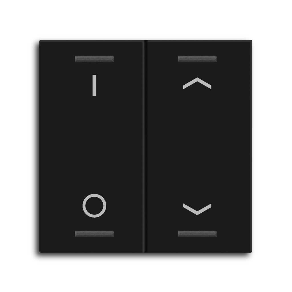 BE-TAL55W206.D1