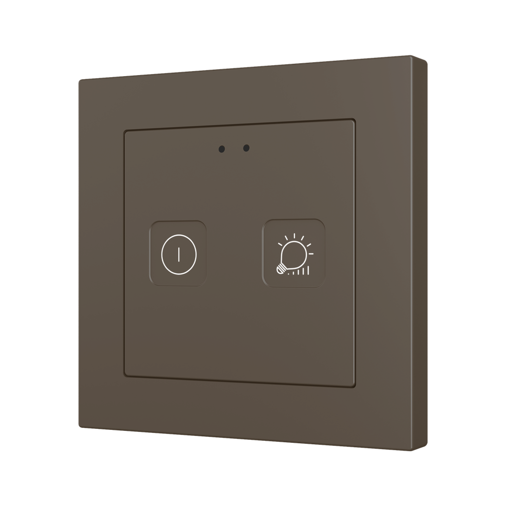 Tecla 55 X2. Interrupteur capacitif en polycarbonate