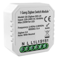 Two Gang ZigBee Switch Module
