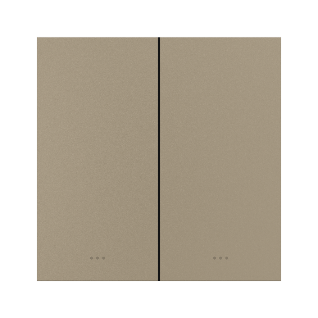 Gold color 2 gang Key Switch