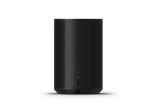 [SNS-Sonos-ERA-100---Noir] ERA 100 - Noir
